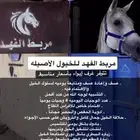 إيواء خيل