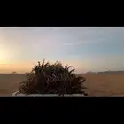 يوجد ددسن لبيع