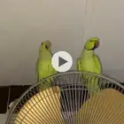 مكه