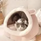 بيت قطط
