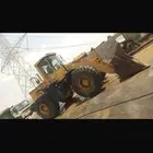 شيول صيني sEM