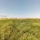 للإيجار مرعى غنم
