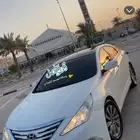 جنوط سوناتا 2014