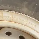 جنوط شاص شنبر 5 وكالة