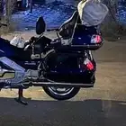 شكامين قولد ونق