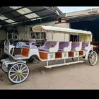 حنتور عربه خيل