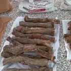 حطب أشجار الخوخ من مزارع تبوك