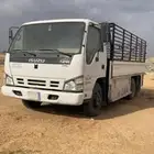 دينه سومبر جامبو