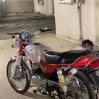 وارد بن ثابت الصلي جديد نضيف للبيع