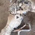 للبيع مكينه ددسن مع القير