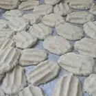 بقل ضان صافي