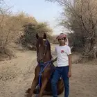 حصان شعبي حار جدا جدا