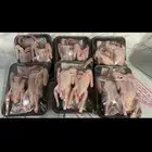 حمام فراخة طازج