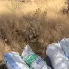 بيشم للبيع