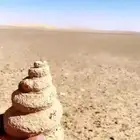 قوقعه متحجره