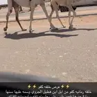 خلفه كفو
