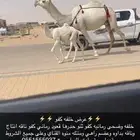 خلفه كفو