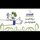 تصميم فيديو وايت بورد بطريقة احترافيه