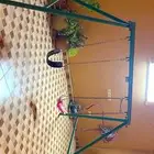 مراجيح