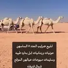نياق ضرايب