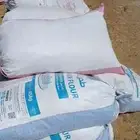 تمر حق حلال سنه الجديده. موقع ينبع بدر