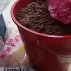 دلكه سودانيه