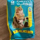 اغراض قطط