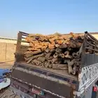 الرياض تواصل