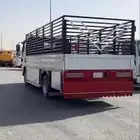 دينا المجمعة