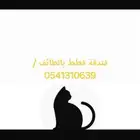 فندقة قطط بالطاىف