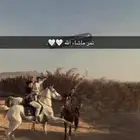 حصان جزيري