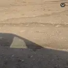 للبيع القحه الصفر