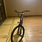 سيكل استخدام شهر