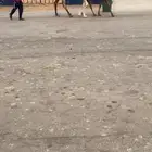 عشرا حدره قعود