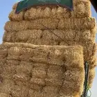 تبن قمح