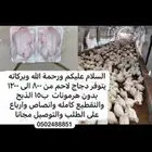 دجاج لاحم