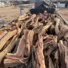 القصيم تواصل اتصال