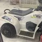 دباب