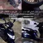 دبابين عجيب كحلي بدون اوراق