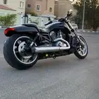 هارلي 2009 ناية رود