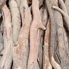 شاص مستورد مسحت حواض