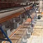 بطاريات أرانب