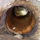 عسل جبلي حر مشروط ذمه وامانه