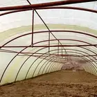بيوت محمية وطني نظيفة