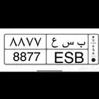 للبيع لوحه 8877