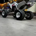 مطلوب دباب (رابتر 660) (بانشي)(z450)(z400)(وايف زد 450) كله