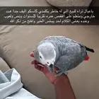 كاسيكو البيع اليف هدد