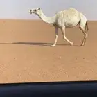 لقحه ثنو عونيه