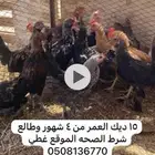 ديكه بلدي