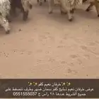 خرفان نعيم كفو